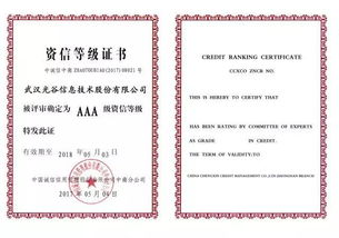 光谷信息2017 聚前行,夢遠航 信息系統集成服務